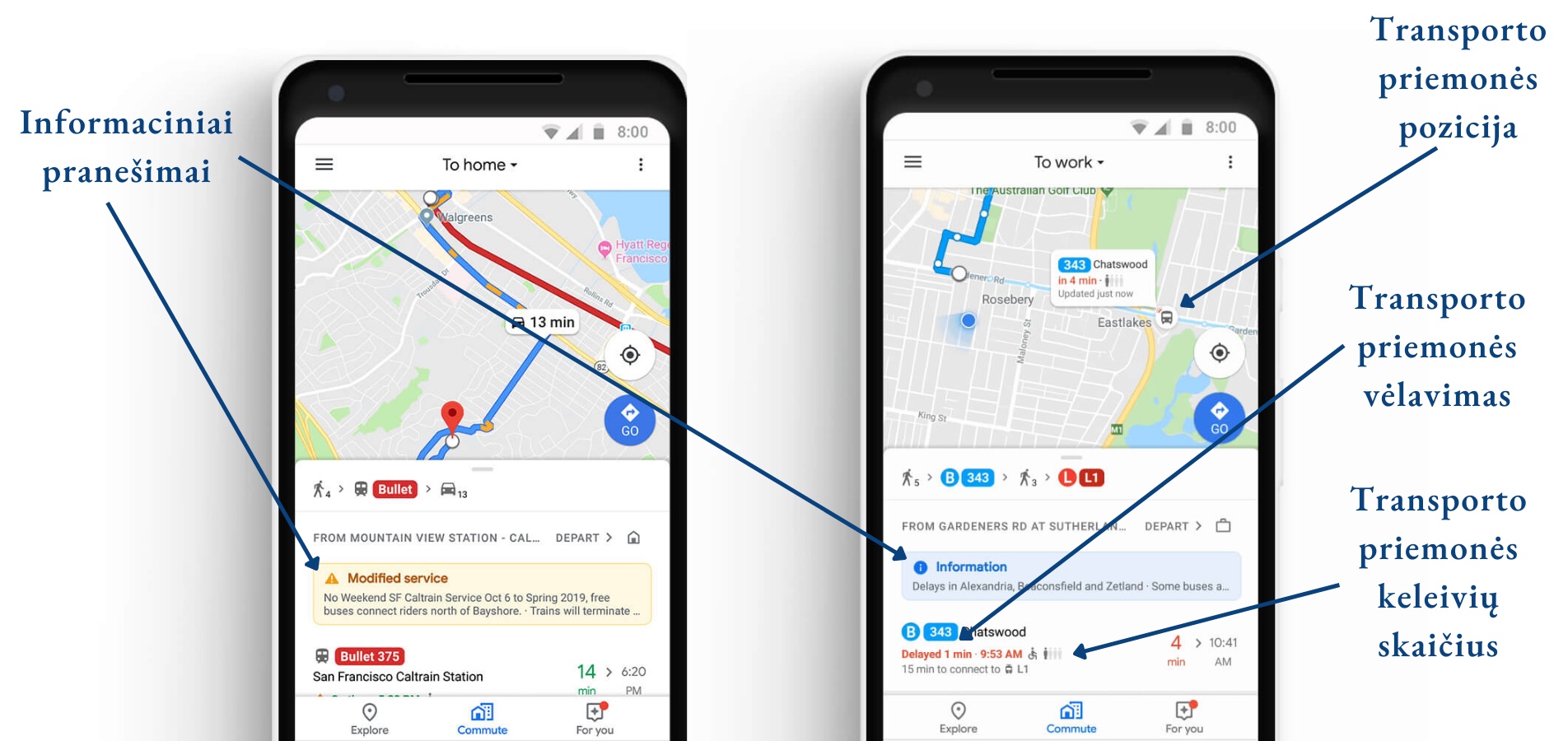_images/google-maps-dynamic-information.jpg